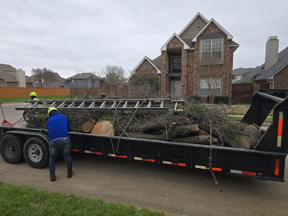 Expert Tree Removal with proper safety equipment in Akron